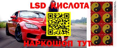 СК Камышлов