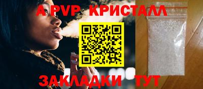 шишки Кандалакша